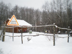 Le rucher école sous la neige.
